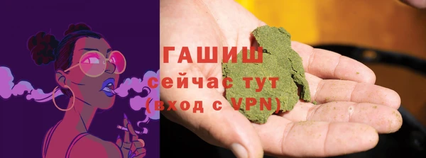 apvp Ельня