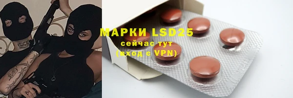 apvp Ельня