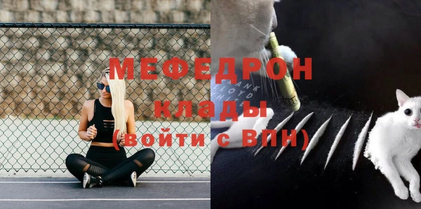 apvp Ельня