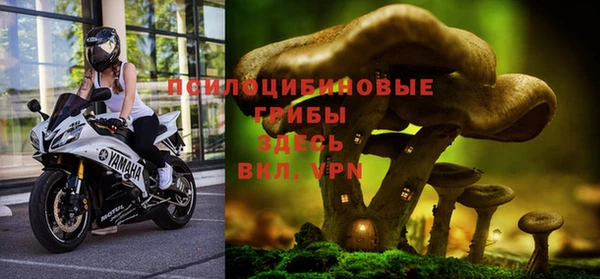 apvp Ельня