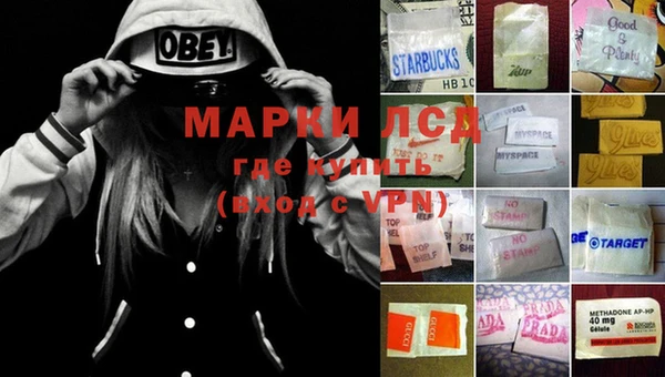 apvp Ельня