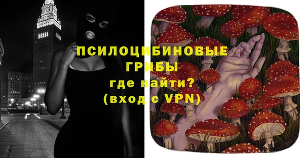 а пвп мука Елабуга