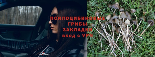 apvp Ельня