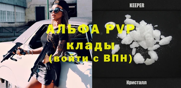 apvp Ельня